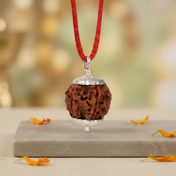 Certified_Natural_6_Mukhi_Rudraksha_Pendant_with_Red_Thread_1_to_10_Mukhi_Available
