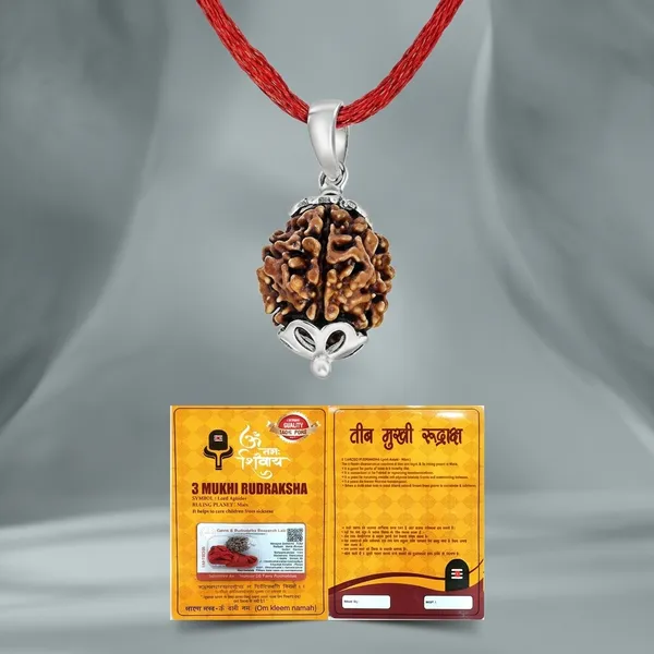 Certified_Natural_3_Mukhi_Rudraksha_Pendant_with_Red_Thread_1_to_10_Mukhi_Available