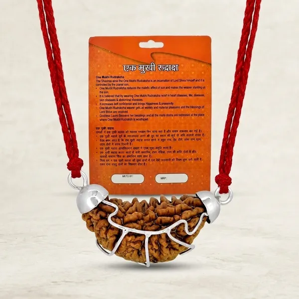 Certified_Natural_1_Mukhi_Rudraksha_Pendant_with_Red_Thread_1_to_10_Mukhi_Available