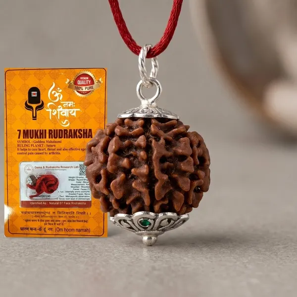 Certified_Natural_7_Mukhi_Rudraksha_Pendant_with_Red_Thread_1_to_10_Mukhi_Available