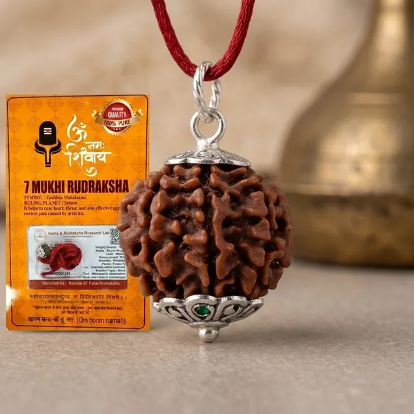 Certified_Natural_7_Mukhi_Rudraksha_Pendant_with_Red_Thread_1_to_10_Mukhi_Available