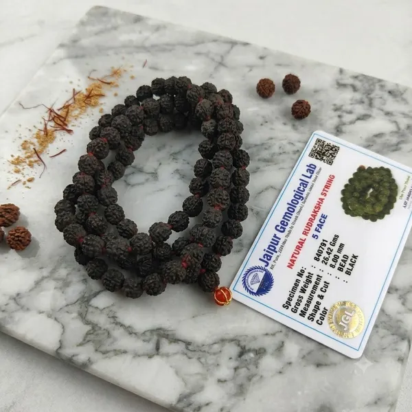 Lab-Certified_Natural_5_Mukhi_Rudraksha_String_-_8mm_Black_Bead_Prayer_Mala_26.42g