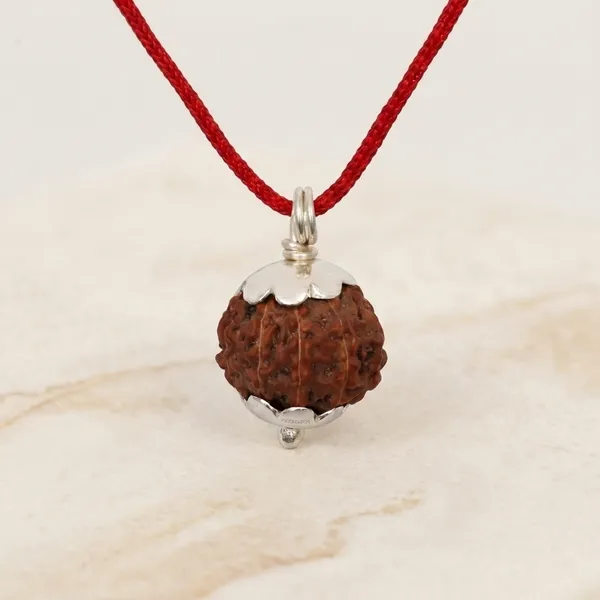 Certified_Natural_10_Mukhi_Rudraksha_Pendant_with_Red_Thread_1_to_10_Mukhi_Available
