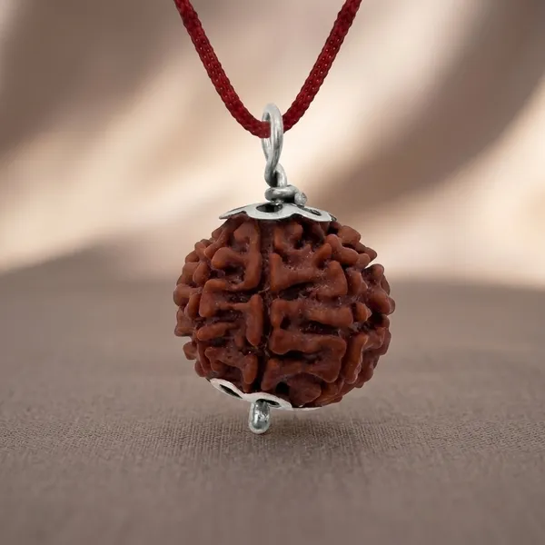 Certified_Natural_7_Mukhi_Rudraksha_Pendant_with_Red_Thread_1_to_10_Mukhi_Available
