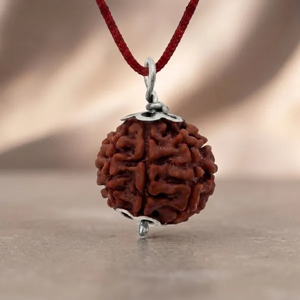 Certified_Natural_7_Mukhi_Rudraksha_Pendant_with_Red_Thread_1_to_10_Mukhi_Available