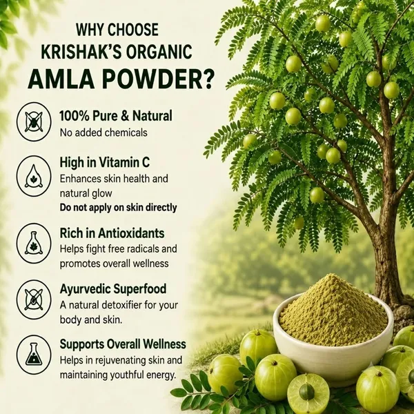 Krishak_Organic_Dehydrated_Amla_Powder_Pack_Of_2