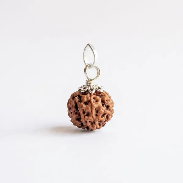 5_Mukhi_Nepali_Rudraksh_Mala