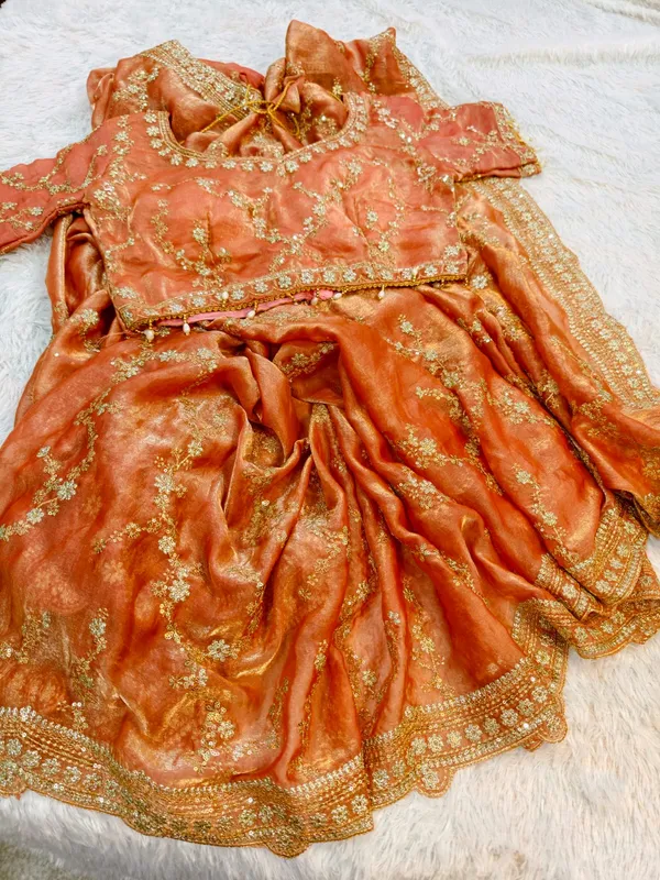 Rusty_Orange_Silk_Tissue_Designer_Saree_For_Women