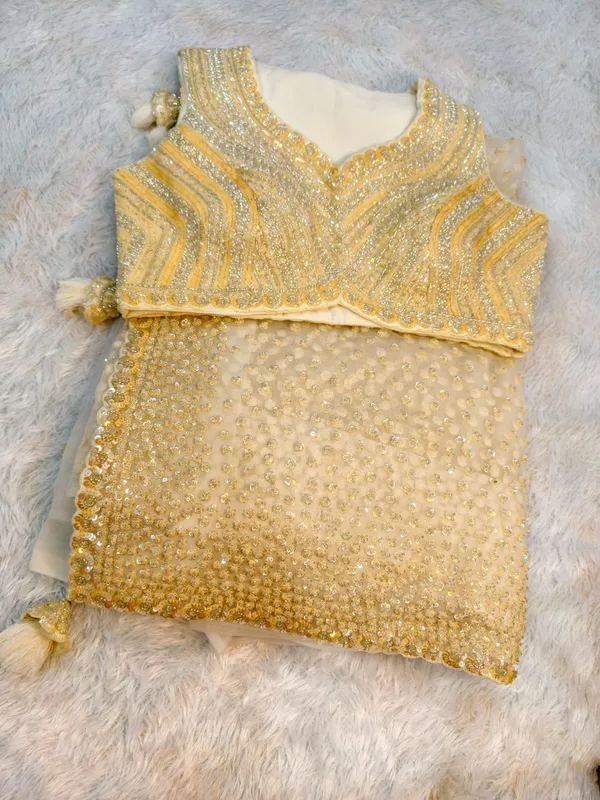 Cream_White_Net_Tissue_Bridal_Designer_Saree_For_Women
