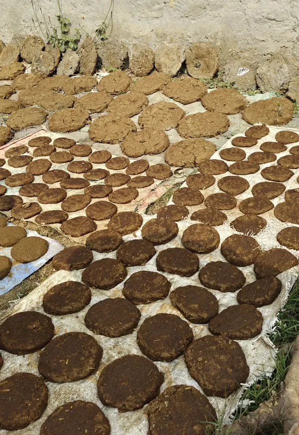 KRISAA_Natural_Cow_Dung_Cakes(100%_Desi)_–_Traditional,_Eco-Friendly_&_Chemical-Free_(30_Units)