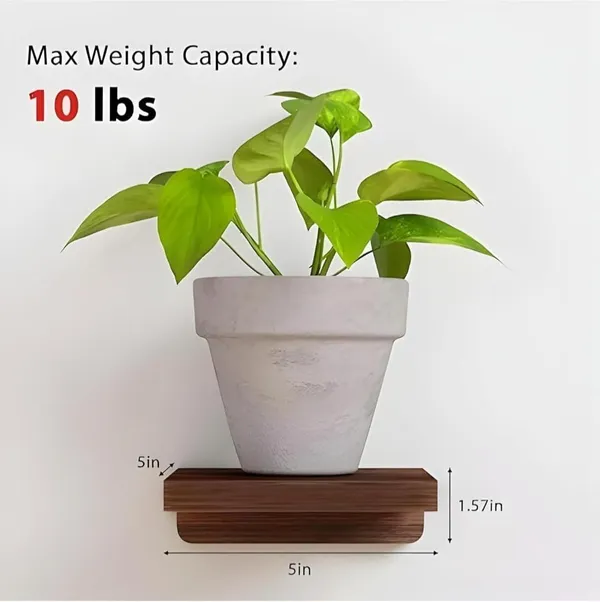 KRISAA_Wooden_Floating_Wall_Shelves,_Mini_Display_Storage_Organizer_for_Living_Room_Wooden_Wall_Shelf_(Number_of_Shelves_-_4,_Brown)