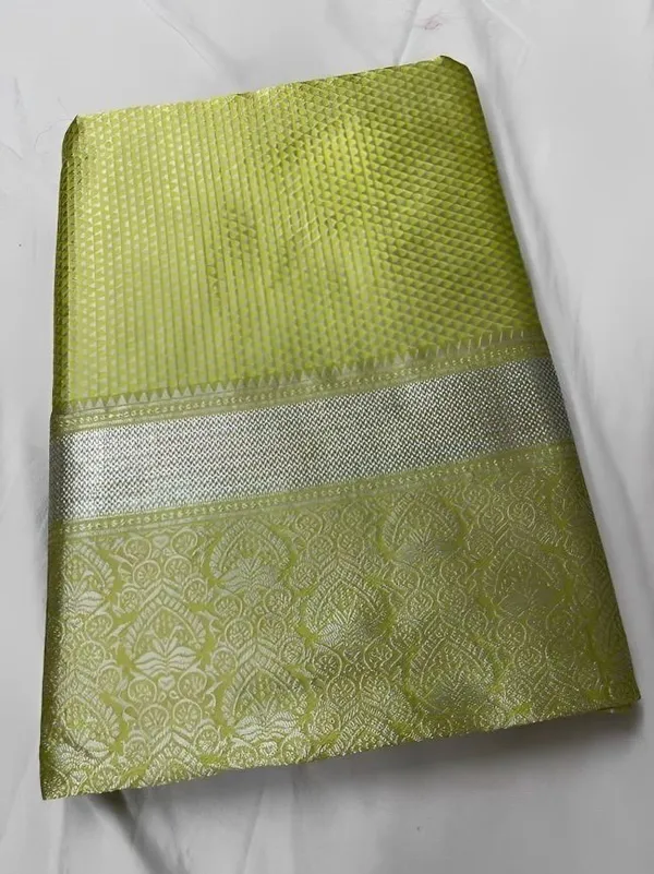 Oxin_Woven_Banarasi_Jacquard_Saree_(Light_Green)