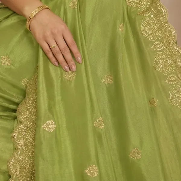 Oxin_Embroidered_Banarasi_Georgette_Saree_(Light_Green)