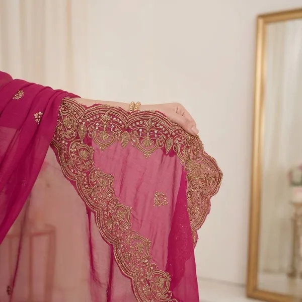 Oxin_Embroidered_Banarasi_Georgette_Saree_(Pink)