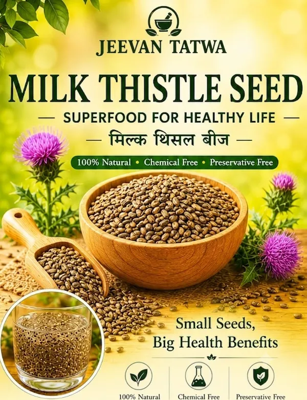 Premium_Milk_Thistle_Seeds