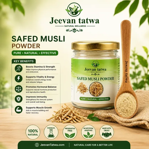 Safed_Musli_Root_Herbal_Powder