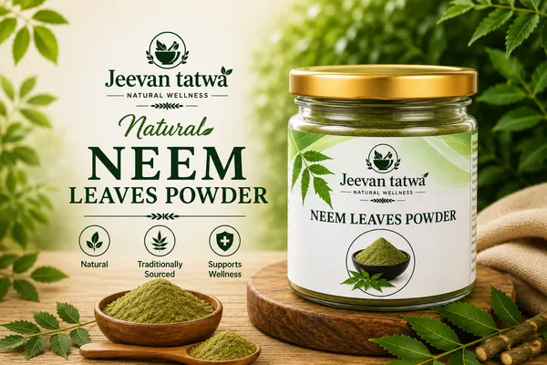 Neem_Leaves_Azadirachta_Indica_Powder