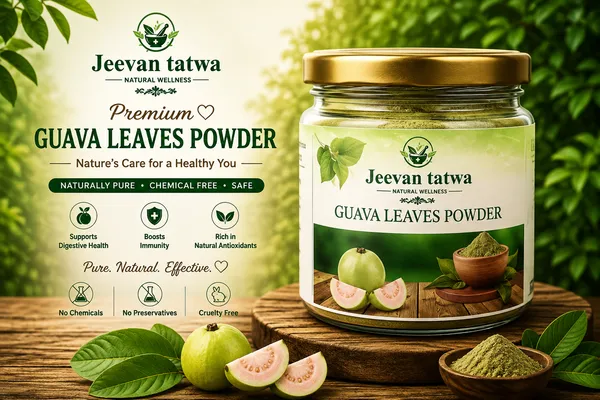Guava_Leaves_Psidium_Guajava_Powder