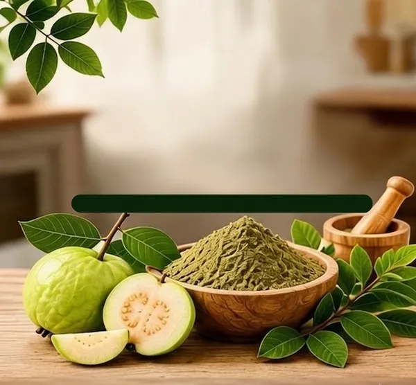 Guava_Leaves_Psidium_Guajava_Powder