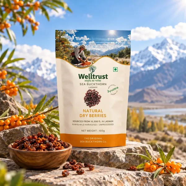 WellTrust_Sea_Buckthorn_Dried_Berries_100g