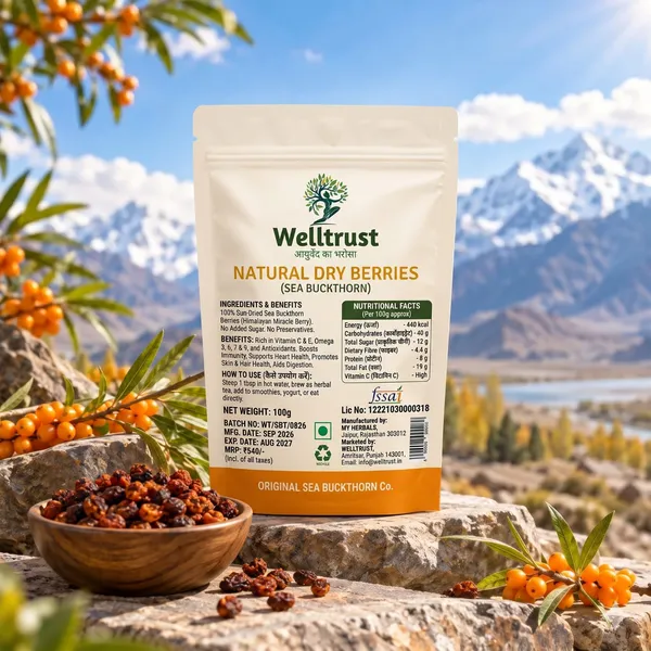 WellTrust_Sea_Buckthorn_Dried_Berries_100g