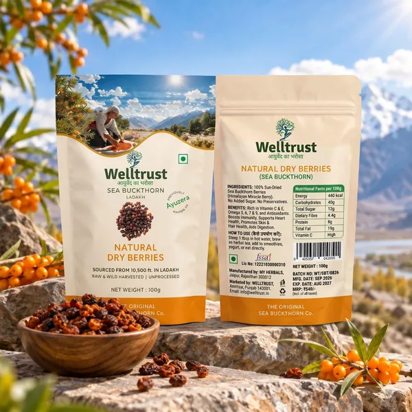 WellTrust_Sea_Buckthorn_Dried_Berries_100g