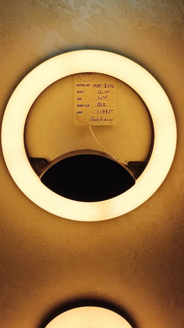 Aluminum_Modern_Ring_White_LED_Flush_Mount_Ceiling_Light_12W