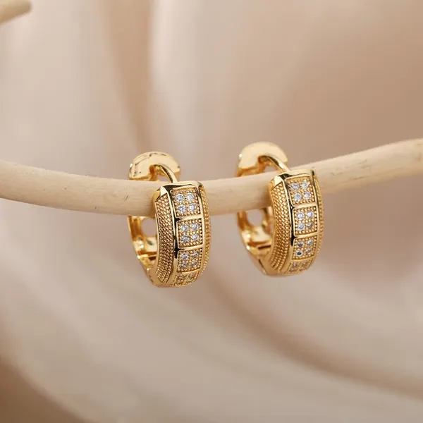 18k_Gold_Plated_Stainless_Steel_Hoop_Earrings_For_Women