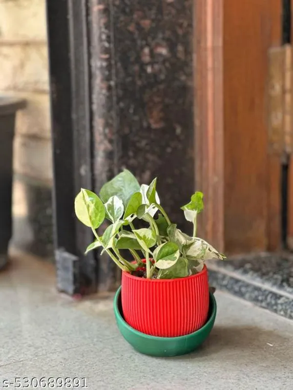Plastic_Red_Desk_Pot_Planter