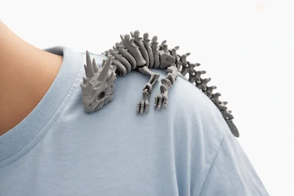 Grey_Plastic_Flexi_Articulated_Skeleton_Dragon