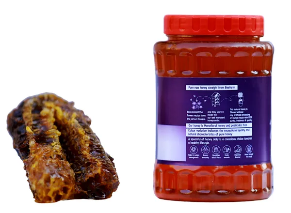 Pure_Raw_Jamun_Honey