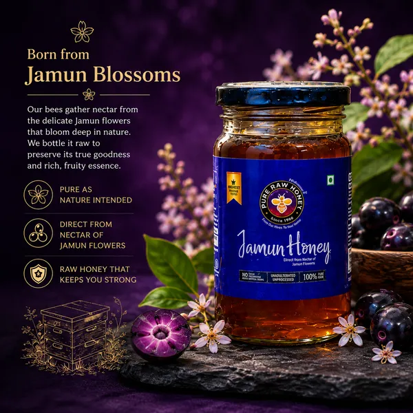 Traditional_Taste_Duo_-Jamun_Honey_+_Ajwain_Honey_(2_x_250_g)