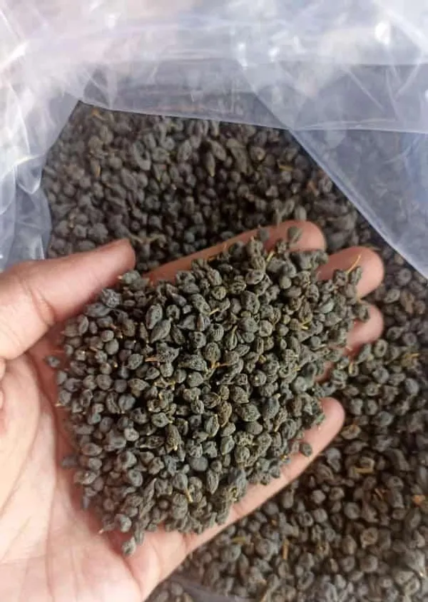 Premium_Quality_Ker_Desert_Berry_Seeds_Pack_Of_2