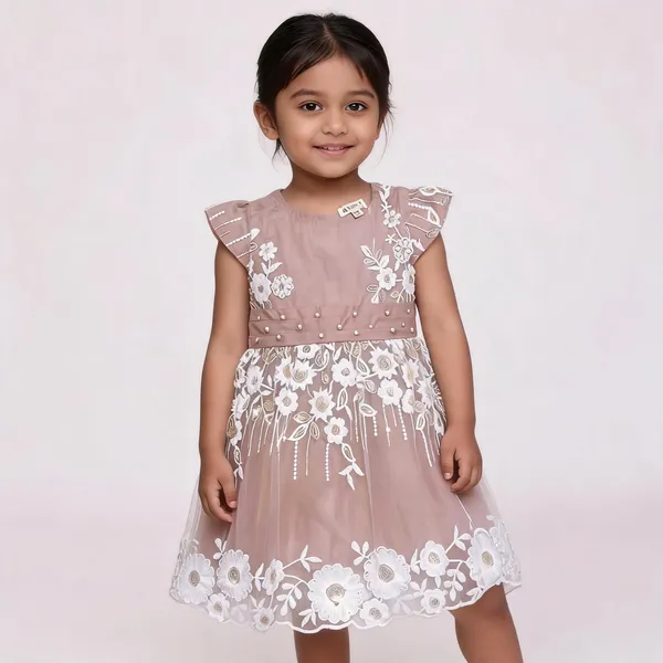 Pink_Net_Floral_Embroidered_Party_Dress_For_Baby_Girls