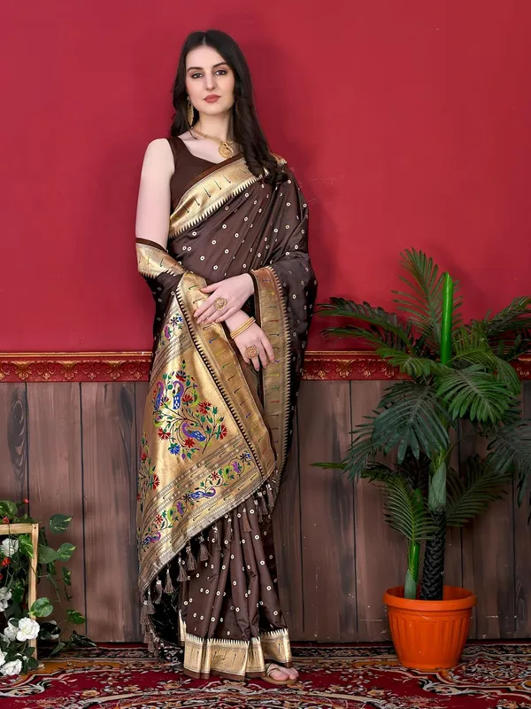 Women_Litchi_Silk_Paithani_Saree_With_Blouse_Piece