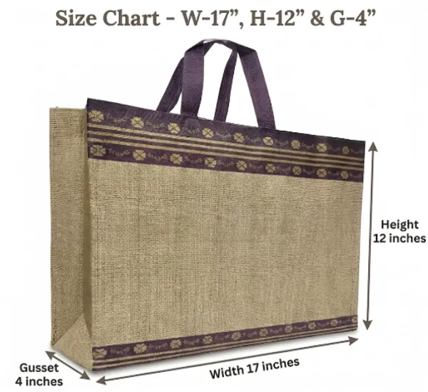 17"x12"x4"_Non-Woven_Laminated_Designer_Carry_Bags(25pcs)