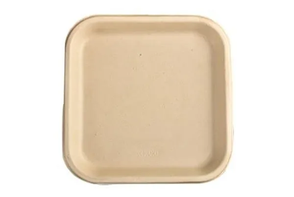 Bagasse_Eco-Friendly_3-Compartment_Disposable_Plate_9_Inch_-_9_In_3_Compartment