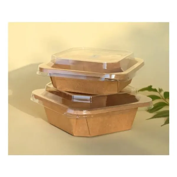 Areca_Palm_Leaf_Round_Disposable_Plate_10_Inch