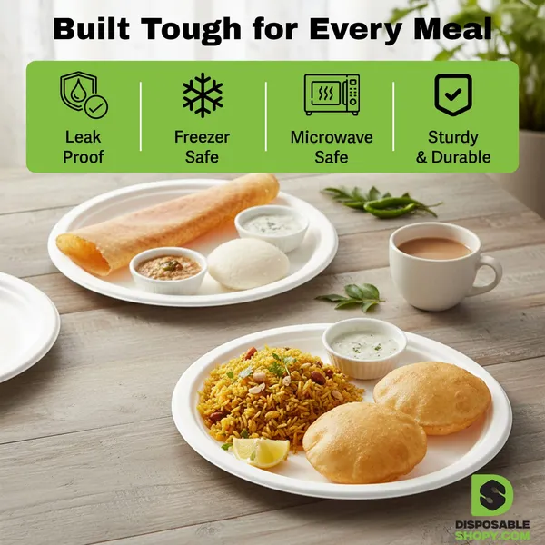 Bagasse_Biodegradable_Round_Disposable_Plate_10_Inch