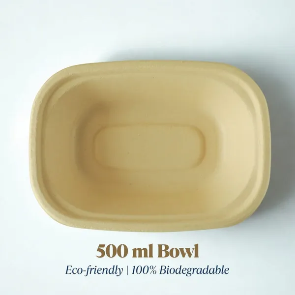 Transparent_Pet_Hinged_Food_Container_250Ml_-_250_Ml