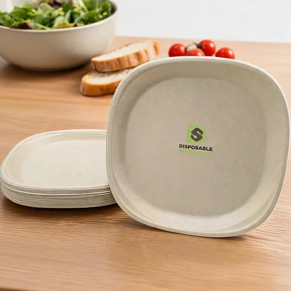 White_Bagasse_3-Compartment_Round_Disposable_Plate_10_Inch_-_10_In_3_Compartment