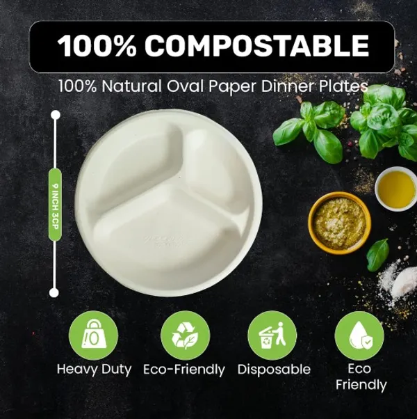 10_inch_3_comparment_round_sugarcane_pulp_plate