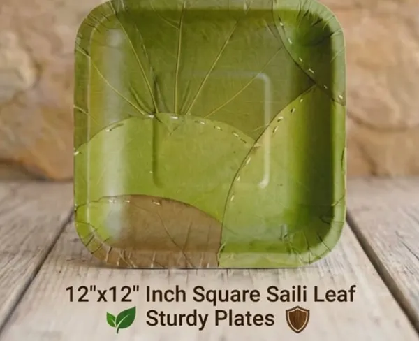 12"x12"_inch_Square_saili_leaf_plates_(60pcs)
