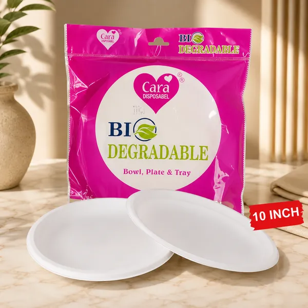 10_inch_thick_paper_dish_