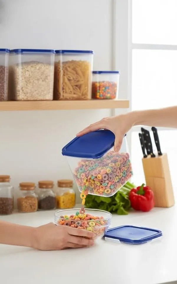 White_And_Blue_Plastic_Food_Storage_Container_For_Food_Storage