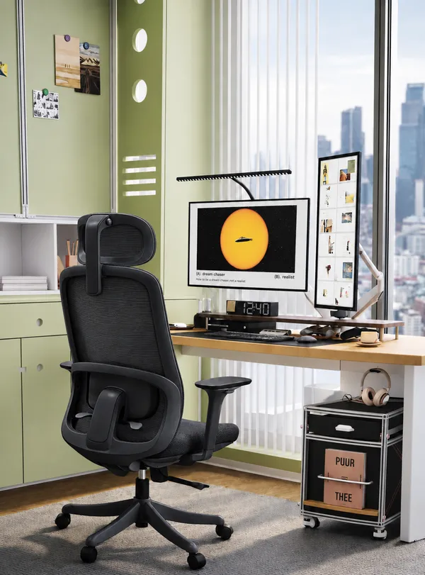 Mesh_Ergonomic_Black_Home_Office_Chair