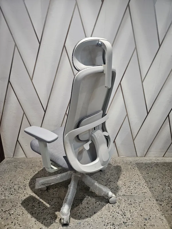 Mesh_Home_Office_Ergonomic_Chair