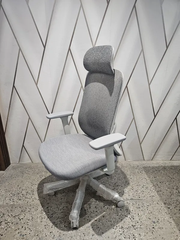Mesh_Home_Office_Ergonomic_Chair