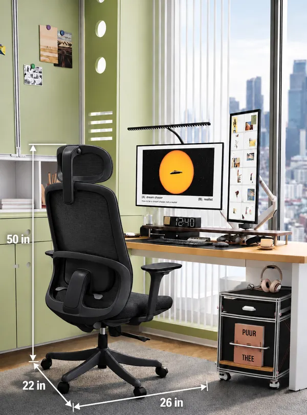 Mesh_Ergonomic_Black_Home_Office_Chair