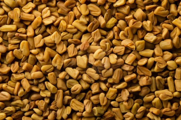 Janta_Yellow_Fenugreek_Seeds